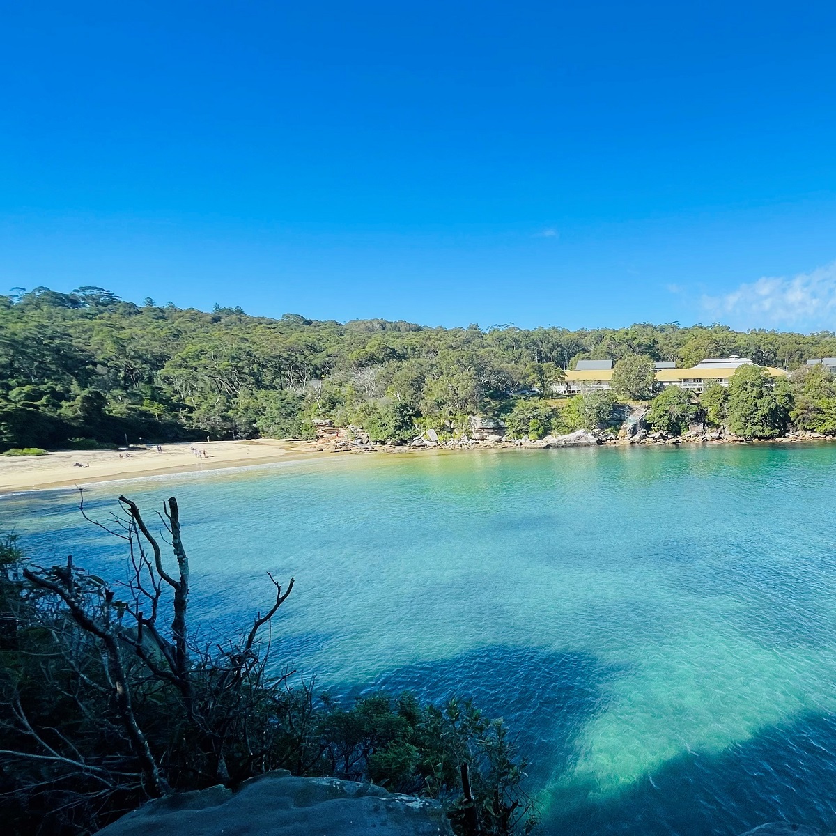 Collin_Beach_ Sydney_Harbour