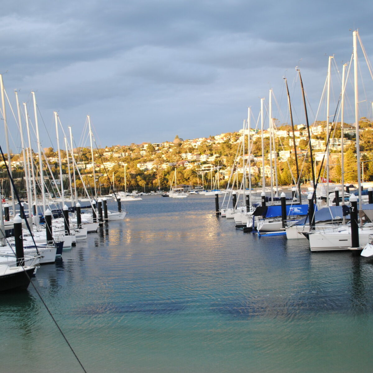 flying fish yacht training